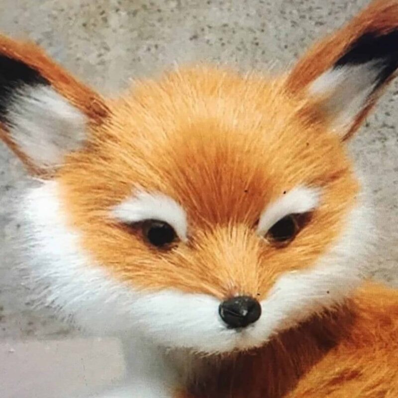 Peluche Renard Mignon – Image 6