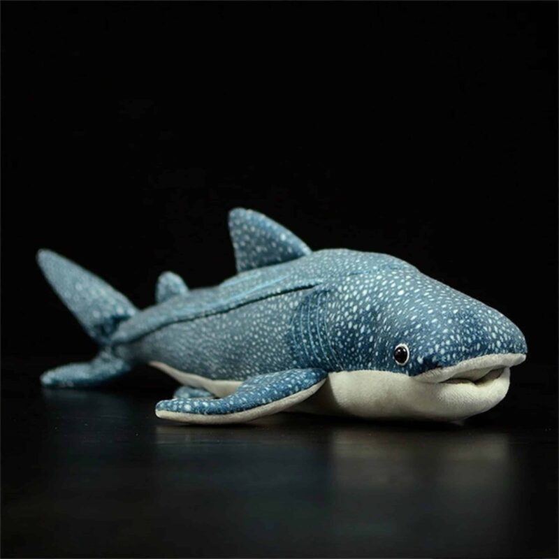 Peluche Requin Baleine – Image 5